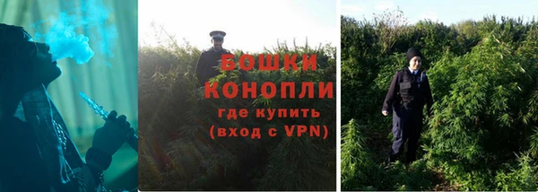 спайс Горнозаводск