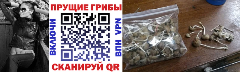 Галлюциногенные грибы мицелий наркотики Ноябрьск