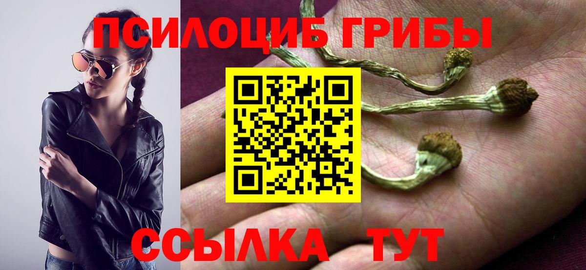 Ноябрьск  Галлюциногенные грибы прущие грибы  Вход с VPN 