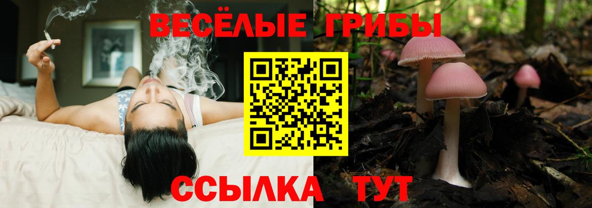 Псилоцибиновые грибы MAGIC MUSHROOMS Ноябрьск
